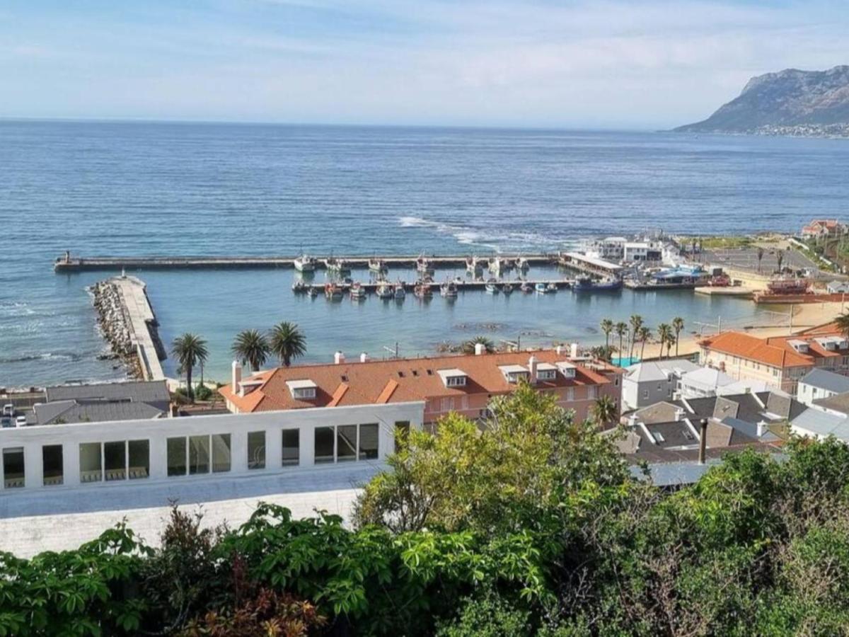The Dragon Tree Guesthouse Kalk Bay Zewnętrze zdjęcie