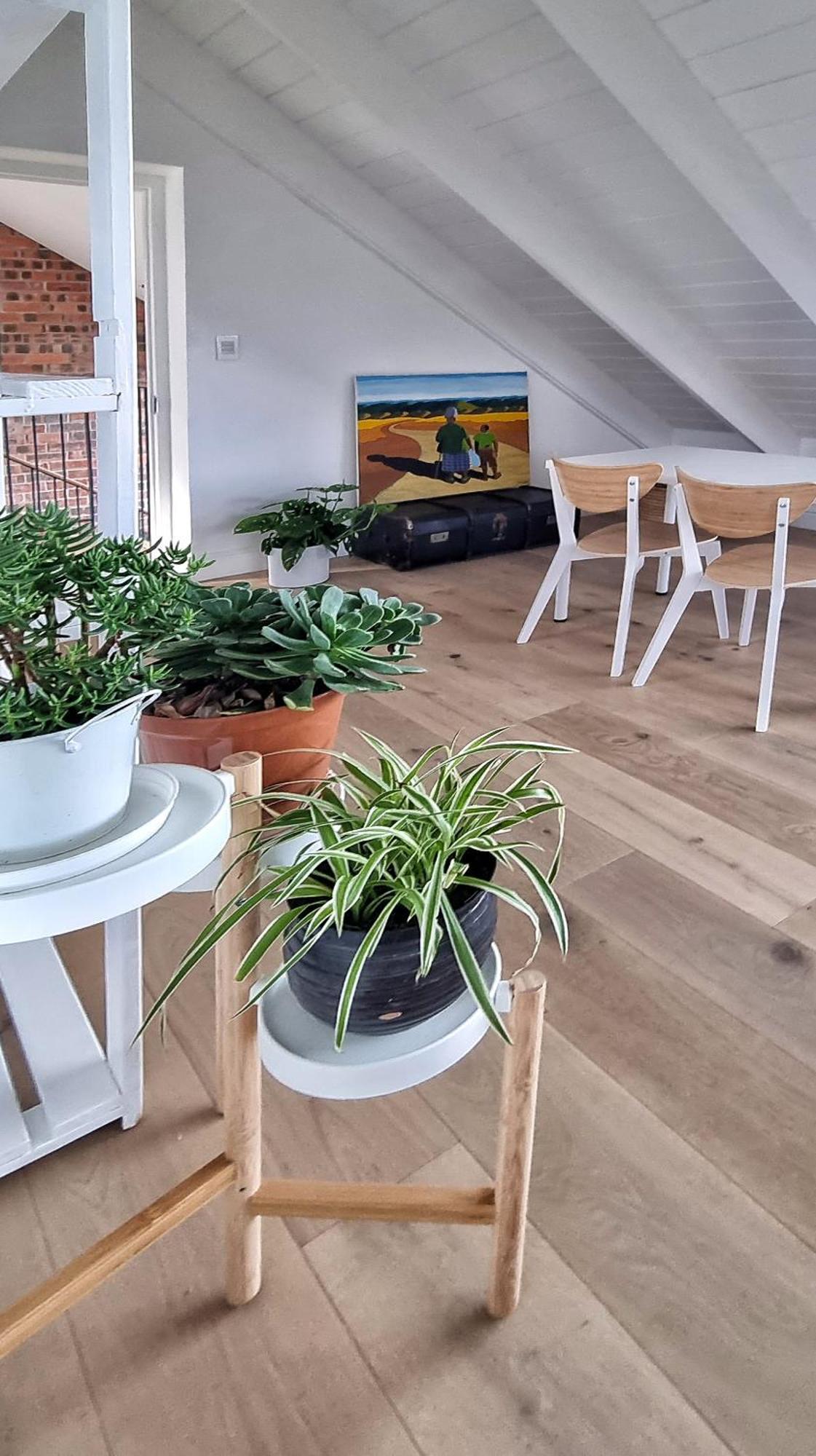 The Dragon Tree Guesthouse Kalk Bay Zewnętrze zdjęcie